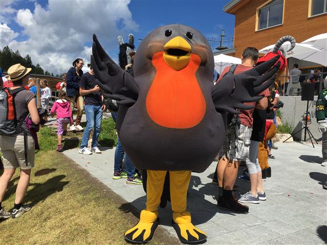 Unser Maskottchen Pieps kann man fr Anlsse mieten